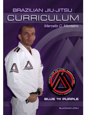 Blue to Purple Belt 